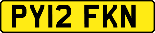 PY12FKN