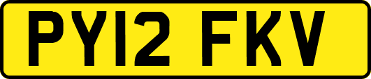 PY12FKV