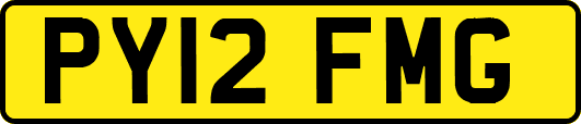 PY12FMG