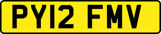 PY12FMV