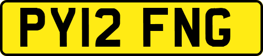 PY12FNG