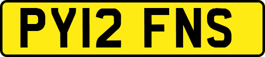 PY12FNS