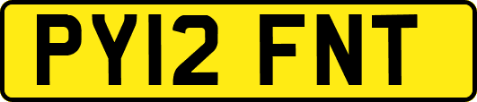 PY12FNT