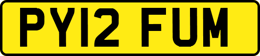 PY12FUM
