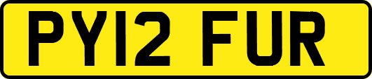 PY12FUR