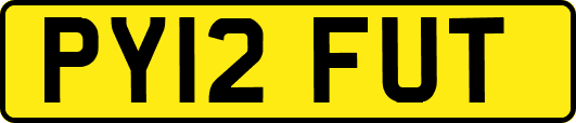 PY12FUT
