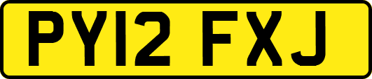 PY12FXJ