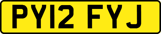 PY12FYJ