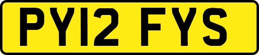 PY12FYS