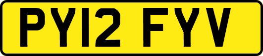 PY12FYV