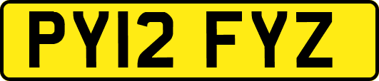 PY12FYZ