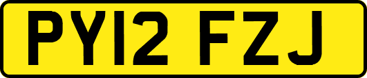 PY12FZJ