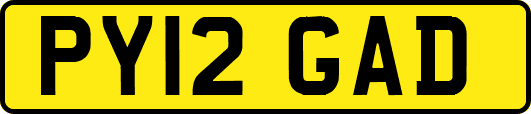 PY12GAD