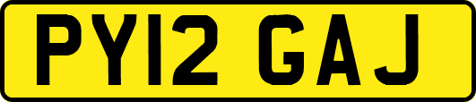 PY12GAJ