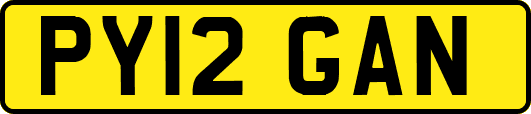 PY12GAN