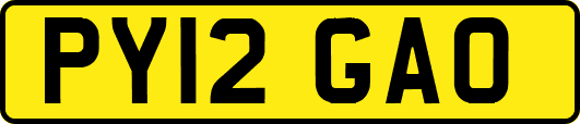 PY12GAO