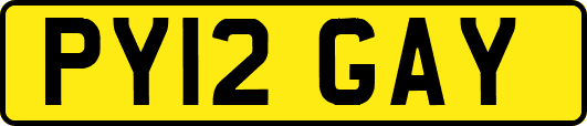 PY12GAY