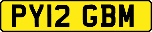 PY12GBM