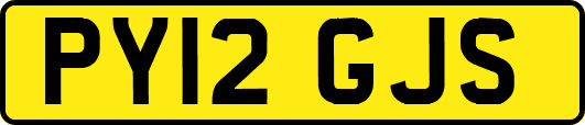 PY12GJS