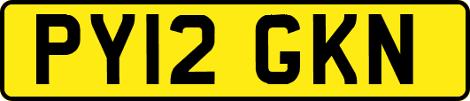 PY12GKN