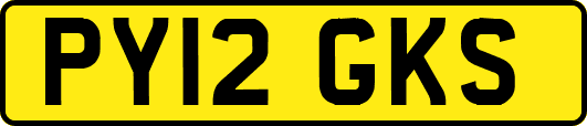 PY12GKS