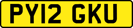 PY12GKU