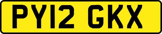 PY12GKX