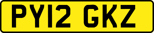 PY12GKZ