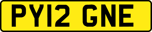 PY12GNE