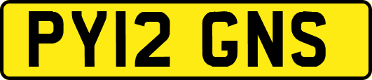 PY12GNS