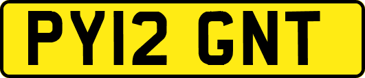 PY12GNT