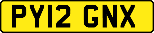 PY12GNX