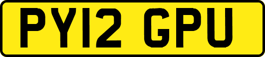 PY12GPU
