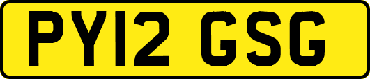 PY12GSG