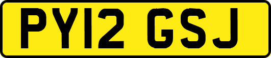 PY12GSJ