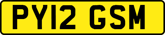 PY12GSM