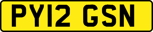 PY12GSN