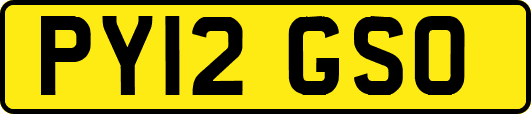 PY12GSO