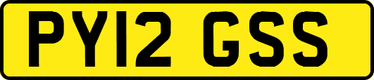 PY12GSS