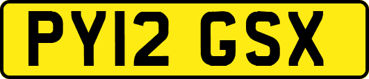 PY12GSX
