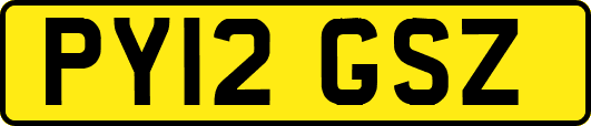 PY12GSZ