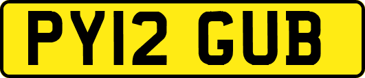 PY12GUB