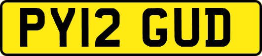 PY12GUD