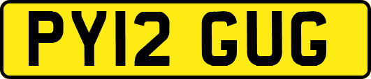 PY12GUG