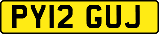 PY12GUJ