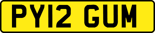 PY12GUM
