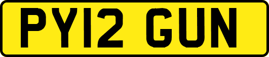 PY12GUN