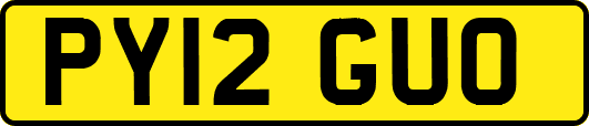 PY12GUO
