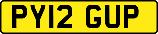 PY12GUP