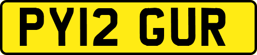 PY12GUR